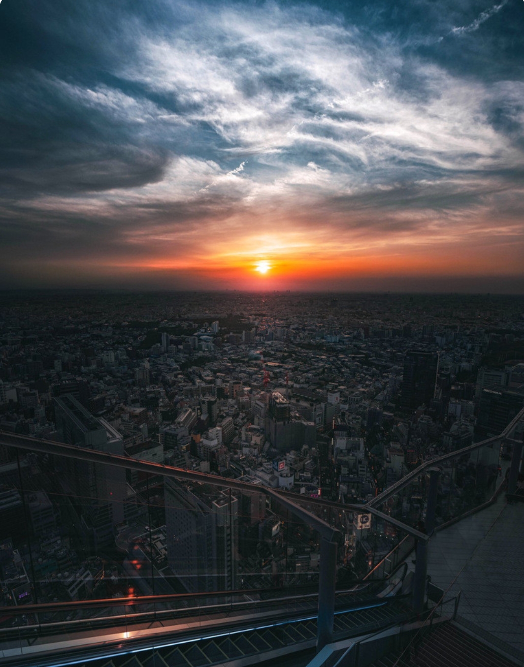 妄图存活_-习书阁