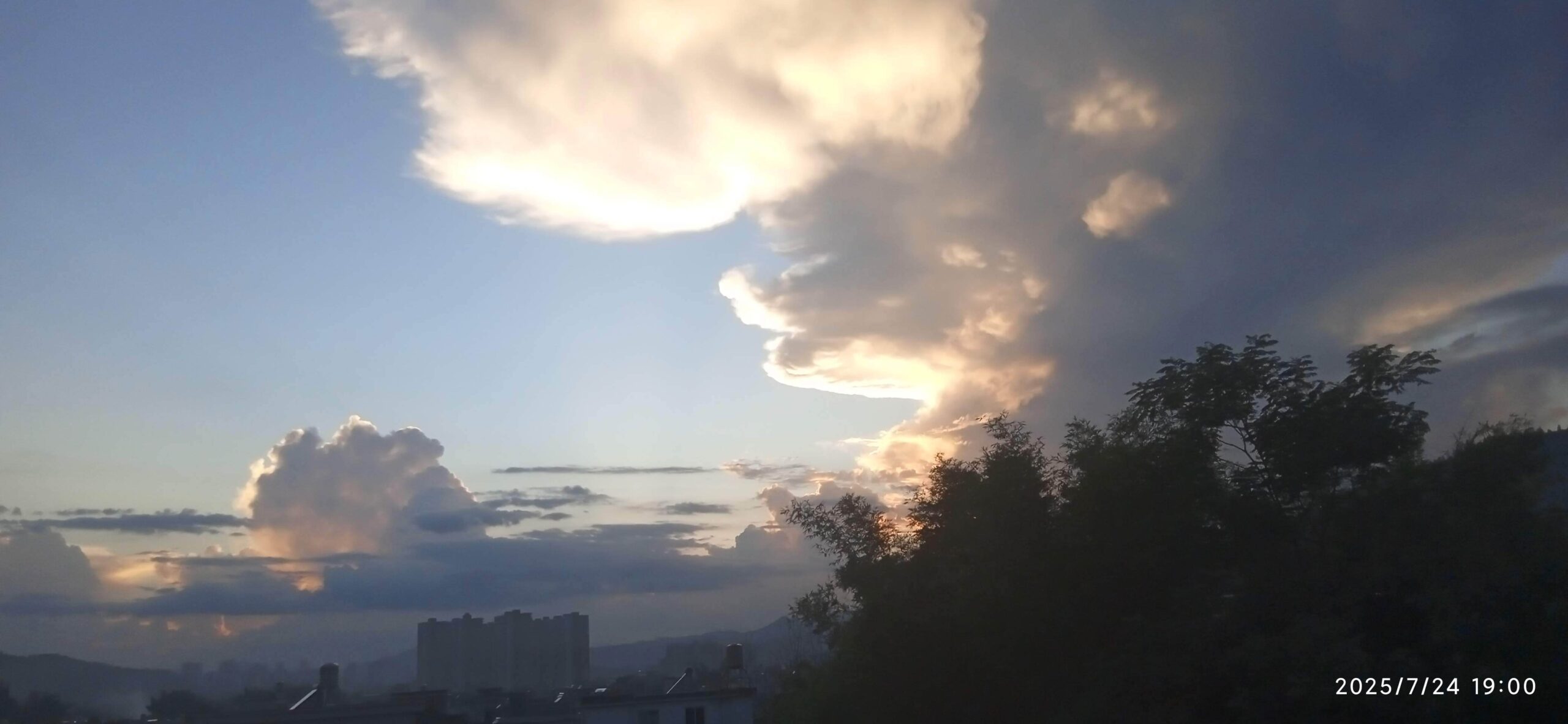 冲师逆徒-习书阁