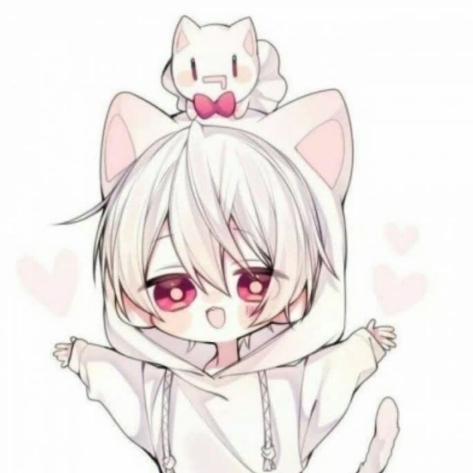 白猫的头像-习书阁