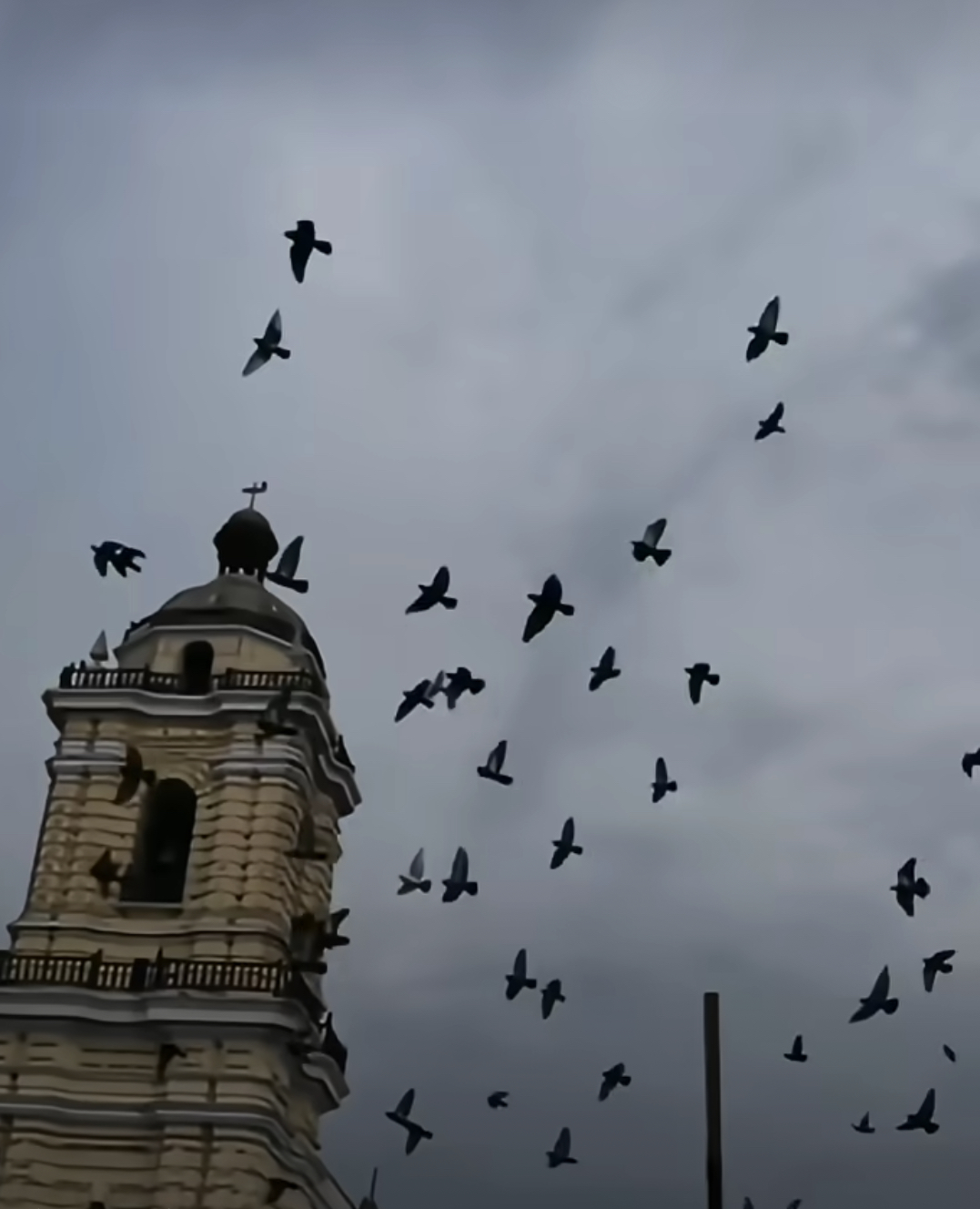 苦艾酒Absinthe的头像-习书阁