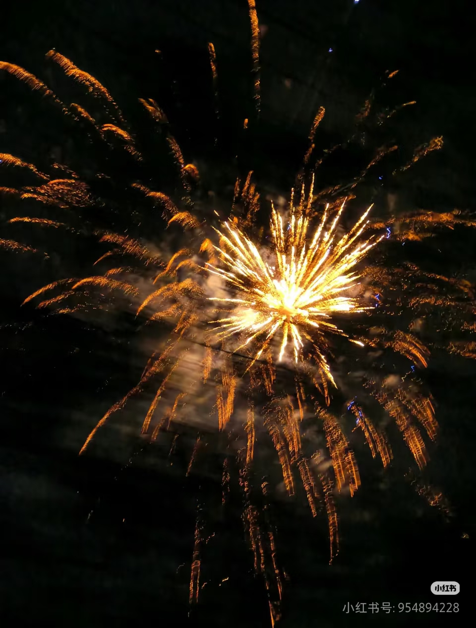 沈云念的头像-习书阁