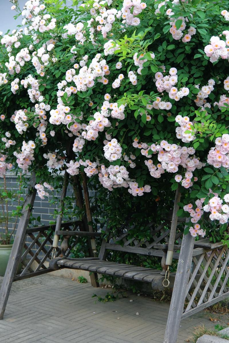 吻我夏诗-习书阁