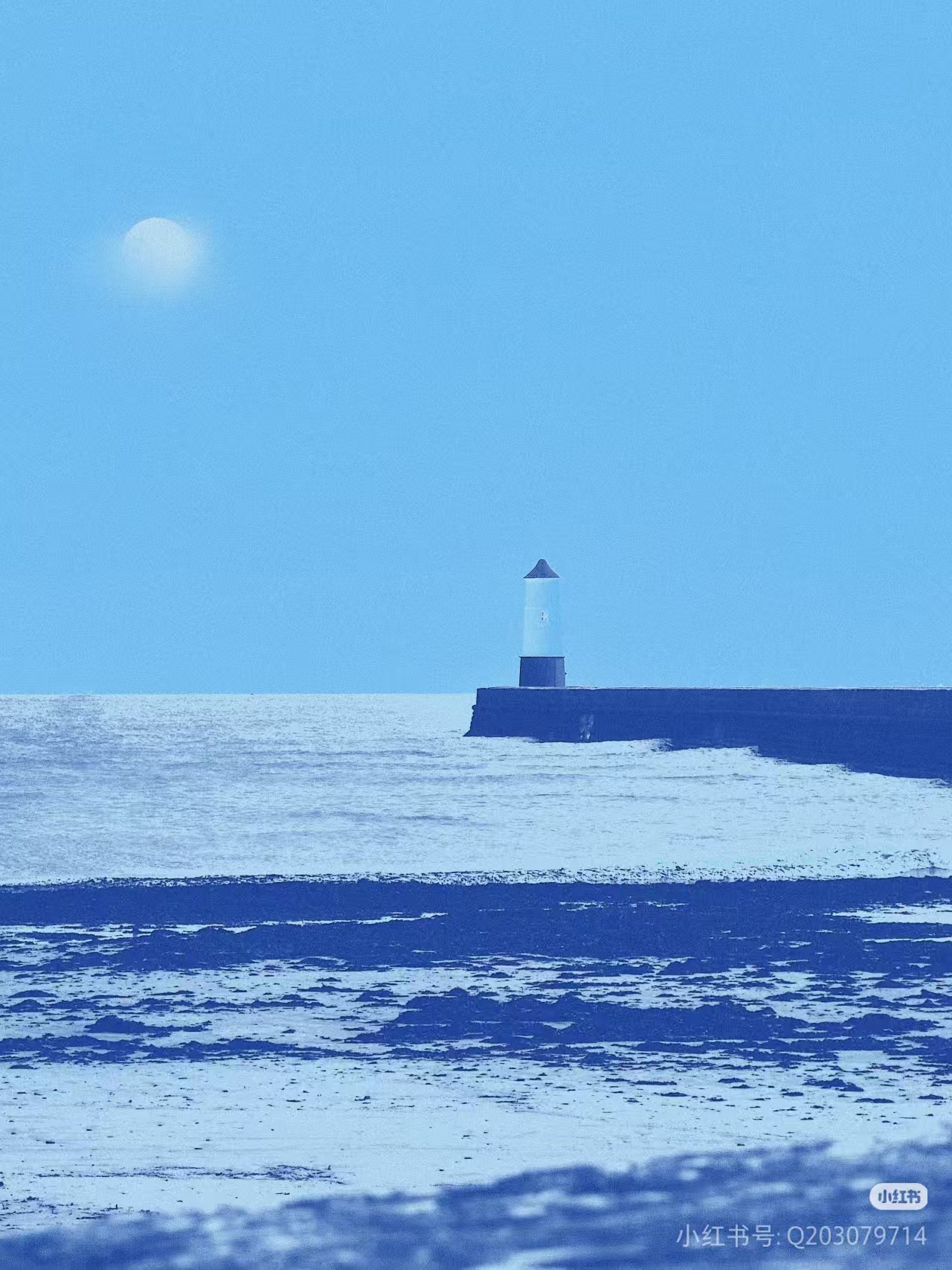 社区标签  The Light of Renewal-习书阁